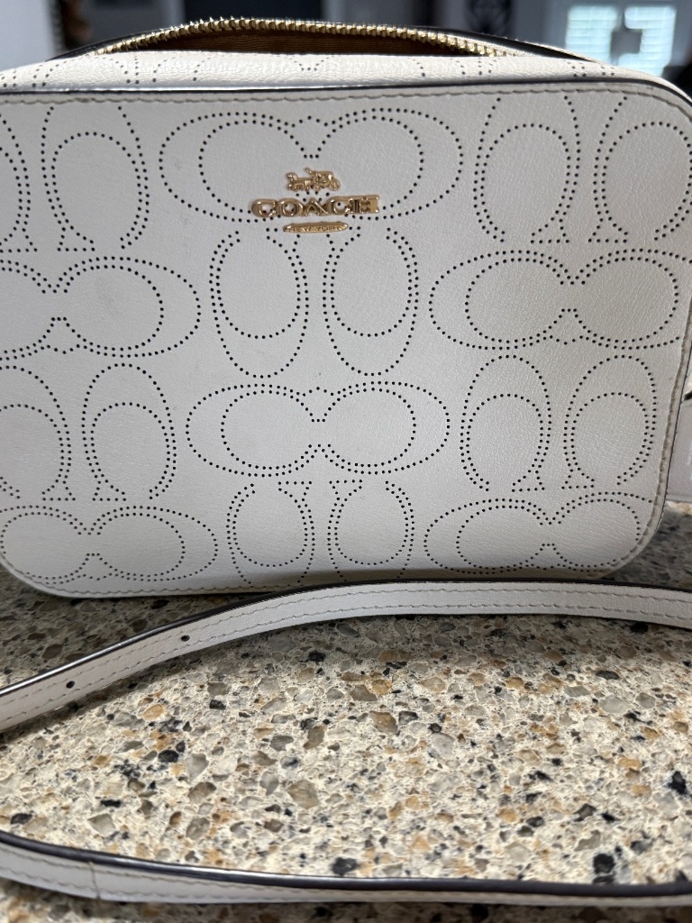 Coach Signature Mini Camera Bag